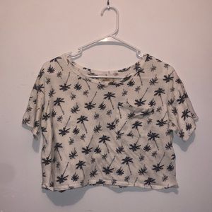 Hollister Crop Top